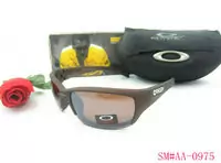 acheter sunglasses oakley 2013 lentille beau oakley good-9057